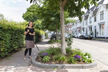 Haarlemmers maken de straten groener!