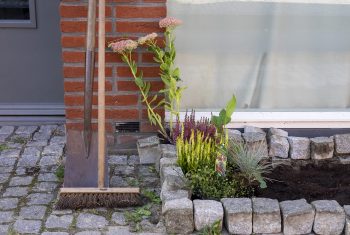 NK Tegelwippen: Tegels omruilen voor planten